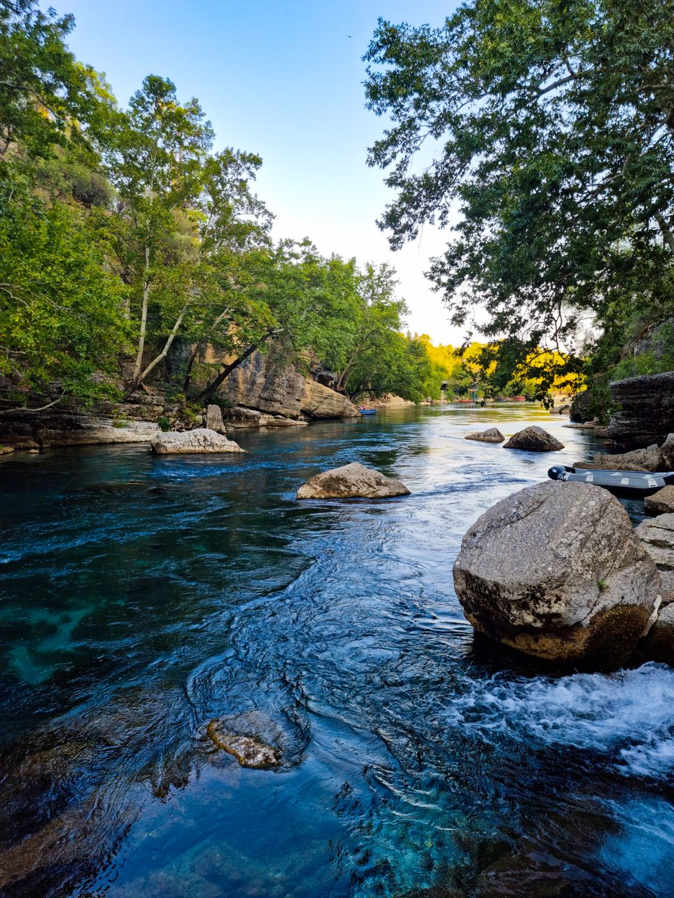 scenic view of flowing river on a forest